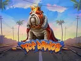 ด็อกก์ยอดนิยม game thumbnail